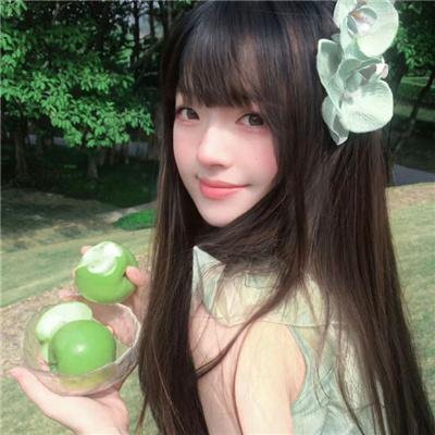 鼹鼠